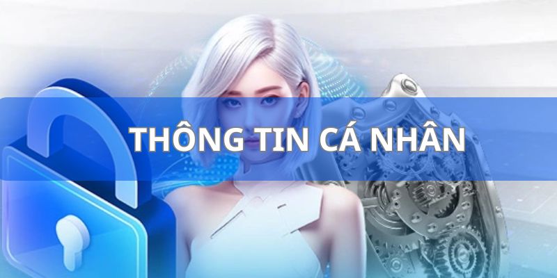 Hội viên phải chú ý dữ liệu đã nhập phải chính xác