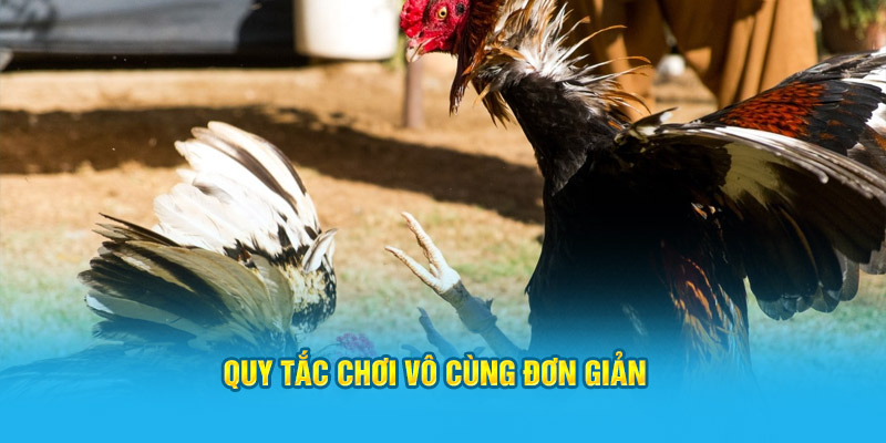 Quy tắc chơi vô cùng đơn giản